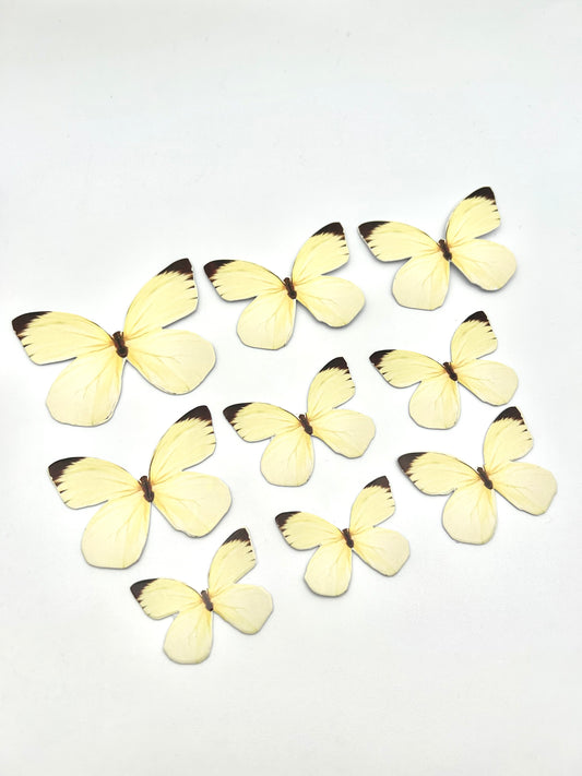 Pastel yellow butterflies