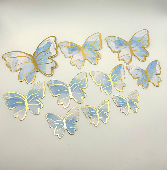 Marbled baby blue and white butterflies