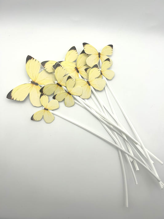 Yellow butterflies with stick