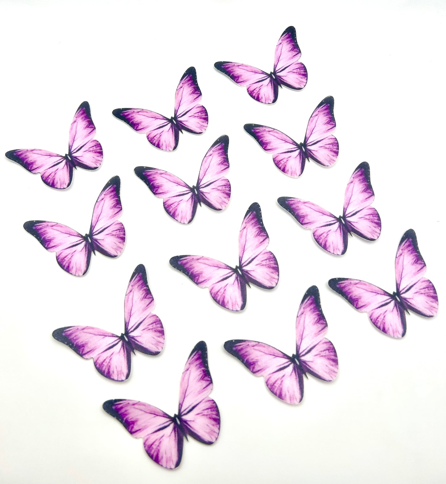 Edible butterflies- Purple
