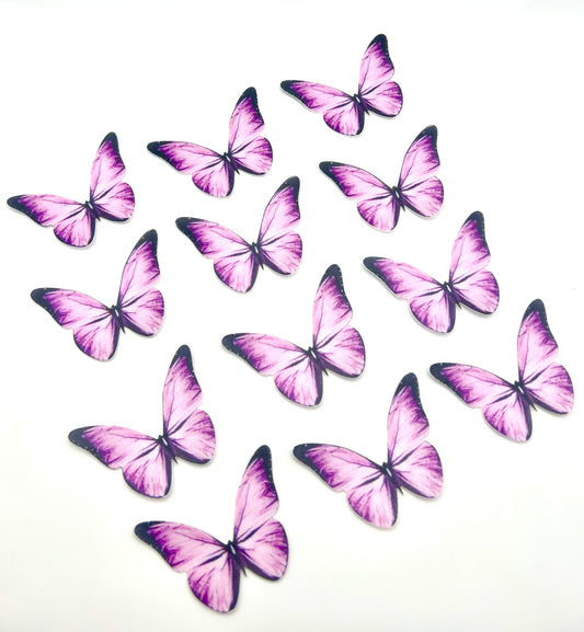 Edible butterflies- Purple