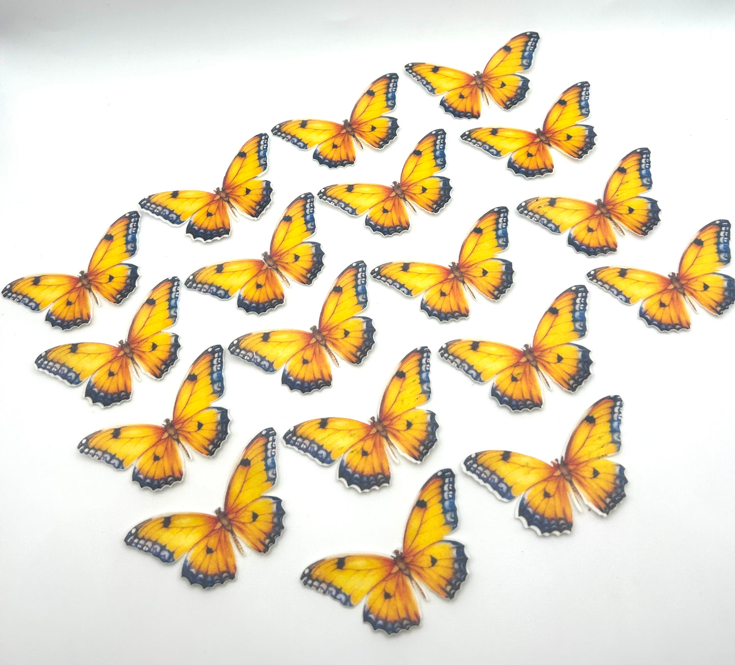 Edible butterflies- Orange