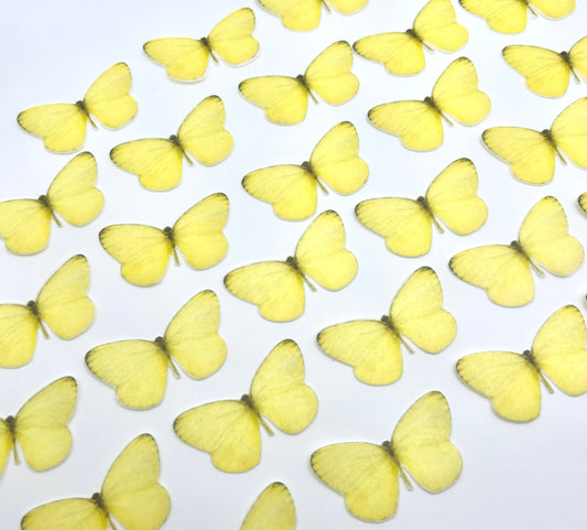 Edible butterflies- Yellow