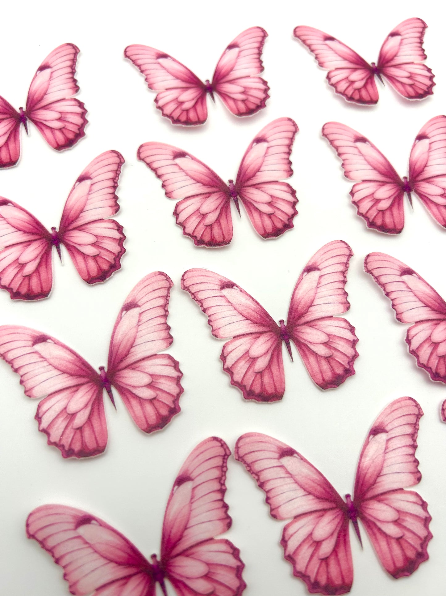 Edible butterflies- Red