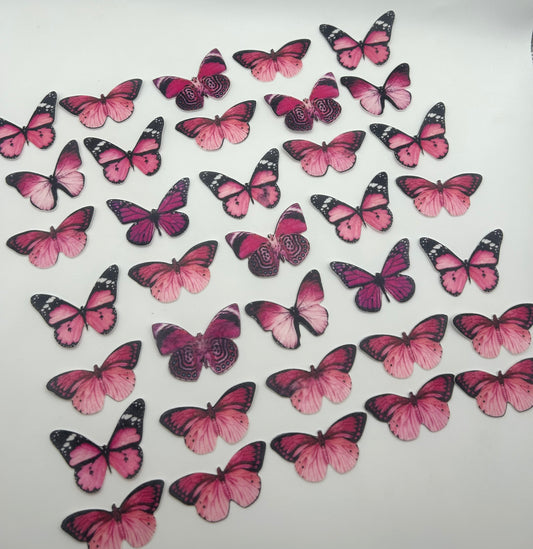 Edible butterflies- Magenta multi-coloured