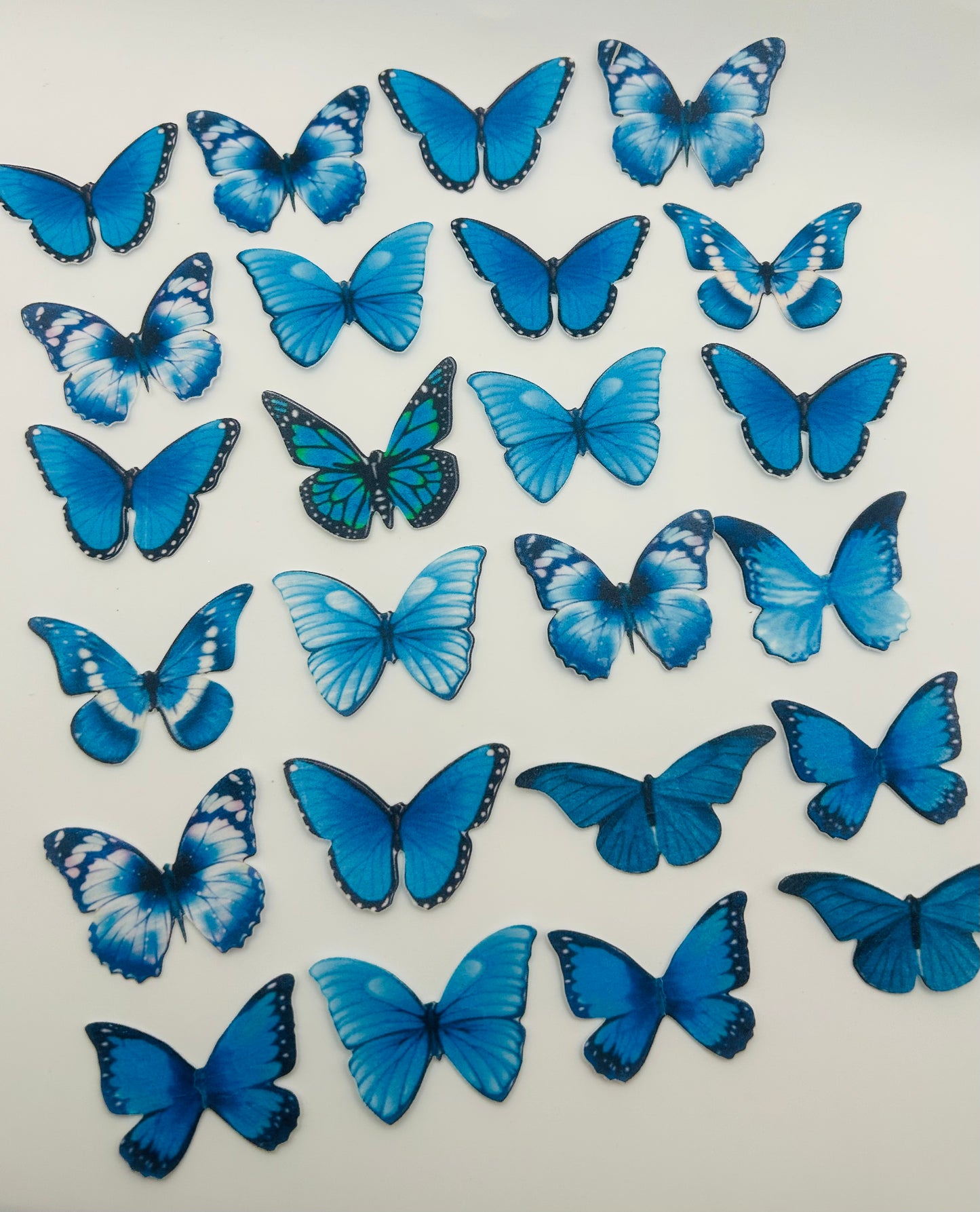 Edible butterflies- Blue