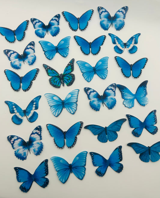 Edible butterflies- Blue